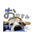loveche No.1（個別スタンプ：7）