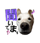 loveche No.1（個別スタンプ：21）
