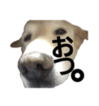 loveche No.1（個別スタンプ：25）