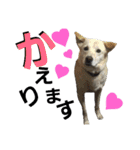loveche No.1（個別スタンプ：35）