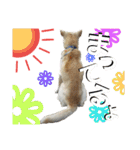 loveche No.1（個別スタンプ：40）