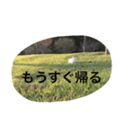 kawaii usagichan（個別スタンプ：6）