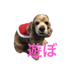 らい.（個別スタンプ：8）