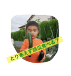 壮と舞 その2（個別スタンプ：6）
