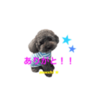 モップ犬ムッチー（個別スタンプ：8）