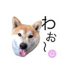 もこな3（個別スタンプ：3）