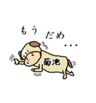 菊池A（個別スタンプ：31）