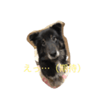 パルの日常（個別スタンプ：2）