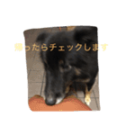 パルの日常（個別スタンプ：9）