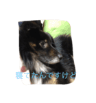 パルの日常（個別スタンプ：10）