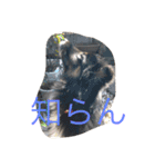 パルの日常（個別スタンプ：14）