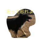 パルの日常（個別スタンプ：15）