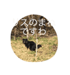 パルの日常（個別スタンプ：16）