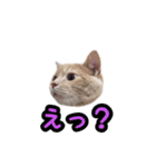 ミルのスタンプ（個別スタンプ：7）