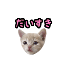 ミルのスタンプ（個別スタンプ：12）