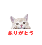 ミルのスタンプ（個別スタンプ：13）