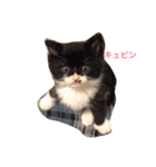 あめとそら（個別スタンプ：1）