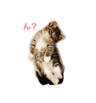 あめとそら（個別スタンプ：6）