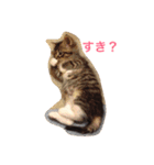 あめとそら（個別スタンプ：8）