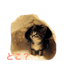 あめとそら（個別スタンプ：10）