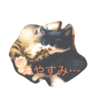 あめとそら（個別スタンプ：11）