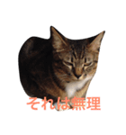 あめとそら（個別スタンプ：18）