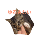 あめとそら（個別スタンプ：20）