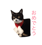 あめとそら（個別スタンプ：23）
