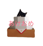 あめとそら（個別スタンプ：24）