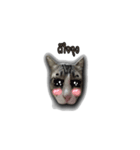 moneycat（個別スタンプ：22）