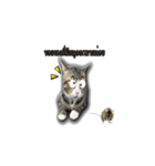 moneycat（個別スタンプ：25）