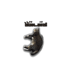 moneycat（個別スタンプ：27）