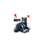 moneycat（個別スタンプ：29）