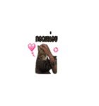moneycat（個別スタンプ：33）