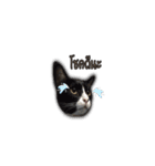 moneycat（個別スタンプ：39）