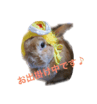 みるきー（うさぎ）の日常（リアル写真）（個別スタンプ：2）