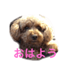 ころころんの日常2（個別スタンプ：4）