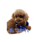 ころころんの日常2（個別スタンプ：8）