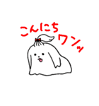 ふさふさのマルチーズ（個別スタンプ：1）