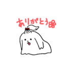 ふさふさのマルチーズ（個別スタンプ：2）