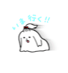 ふさふさのマルチーズ（個別スタンプ：6）
