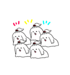 ふさふさのマルチーズ（個別スタンプ：12）
