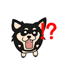 たまいぬ（改良版）（個別スタンプ：6）