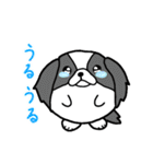たまいぬ（改良版）（個別スタンプ：11）