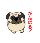 たまいぬ（改良版）（個別スタンプ：14）