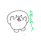 たまいぬ（改良版）（個別スタンプ：17）