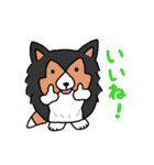 たまいぬ（改良版）（個別スタンプ：18）