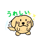 たまいぬ（改良版）（個別スタンプ：19）