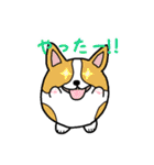 たまいぬ（改良版）（個別スタンプ：20）