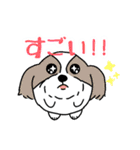たまいぬ（改良版）（個別スタンプ：22）